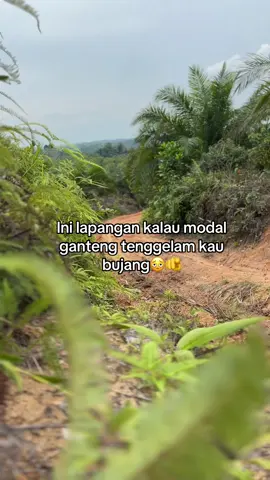 Iya gak wak”@anak spudan @pejuang rupiah @Rian gultom @@ FEBRI 🆔012 P.S.T.S @Rahmat& Adelia ❤️❤️🥰 @BONTEK #fypage #kulisawit🌴 #viral 