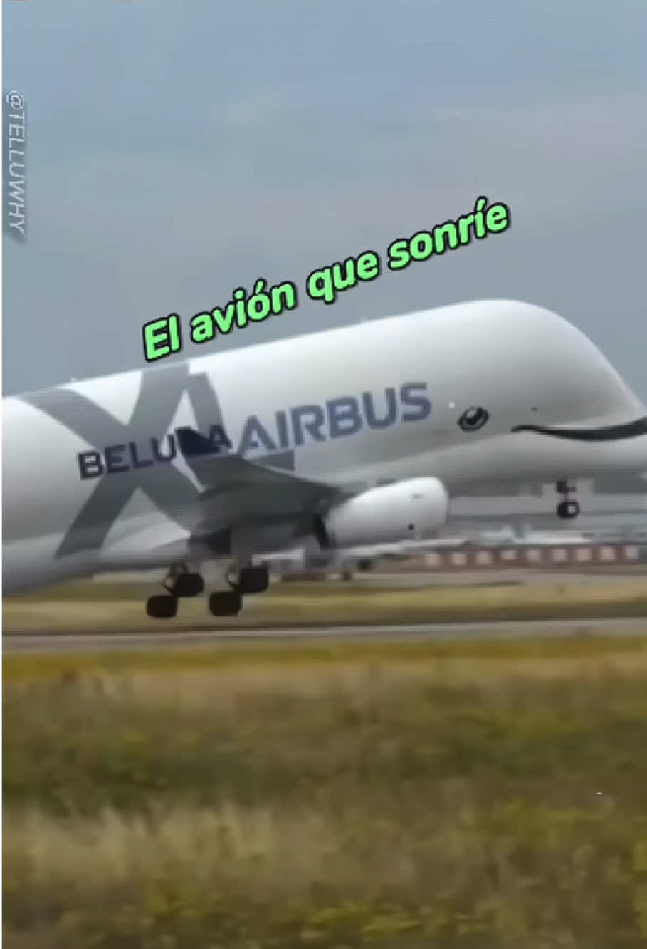 El Beluga de Airbus   #usa  #fyp  #foryou  #viral  #aviones  #fypシ  #Airbus  #Beluga