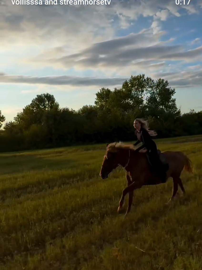 Who, if not me, will go to the fields on an untrained horse? 🥰🎥 @vollisssa  #horselove #horse #horsepower #sunset #horseriding 