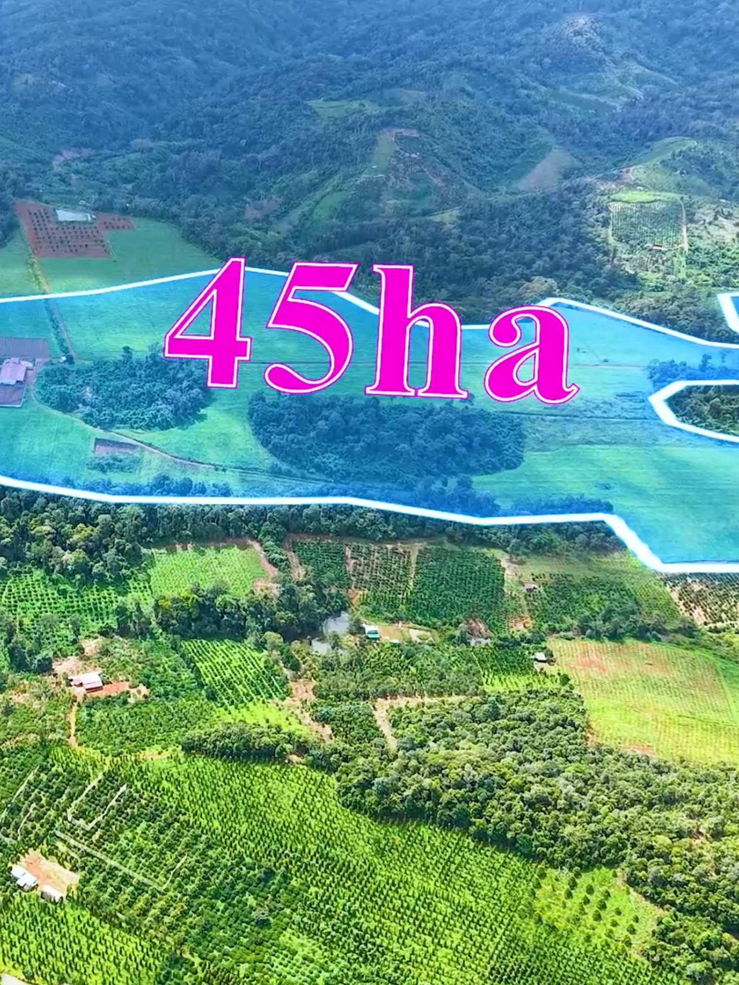 45ha bằng như sân bay, Điện 3pha, nước ko hết, giá cực rẻ, tại xã Đức Hòa tỉnh Lâm Đồng, gần phường Bắc Gia Nghĩa. gần các tiện ích như cây xăng, phân bóng, thuốc bảo vệ thực vật.....vv....... #bdslớn #dientichlon #bdslamdong #bdsgianghia #bdsdaksong #bdstruongxuan #lehungbds