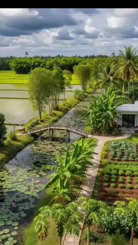 #ดอกไม้🥀🥀🥀 