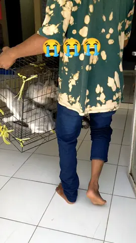 Pasti aman ,lebih baik dan lebih terawat di yayasan  sehat sehat selalu pupus...🤲🥹 #sayangikucing#jgnbuangsembarangan#jgnbuangkucingdijlndipasar