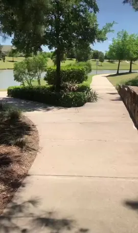 A view in the neighborhood.  This is the suburbs of Houston.  