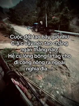 Mày cứ ngồi đó mà kháy đi..! #thanhlam682007 #duet #viỉal 