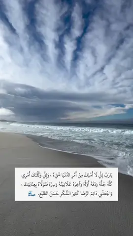 يارب كل المسّرات والسرُور لا تفارق أيّامنا ولا قلوبنَا ولا وجوهَنا ولا خُطواتنا وطريقِنا🤍🕊#اذكروا_الله #ادعوني_استجب_لكم #ادعية #explorepage 