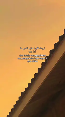 #quotesarabic #syairarab #fyp 