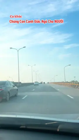 #nhachaymoingay #xuhuongtiktok #viralvideo #bachokinhyeu 