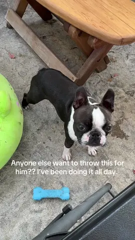 My arm hurts 
