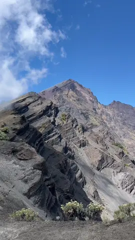 Nih mentahan buat kalian 🫵🏻 #rinjani #pendakigunung #pendaki #foryou 