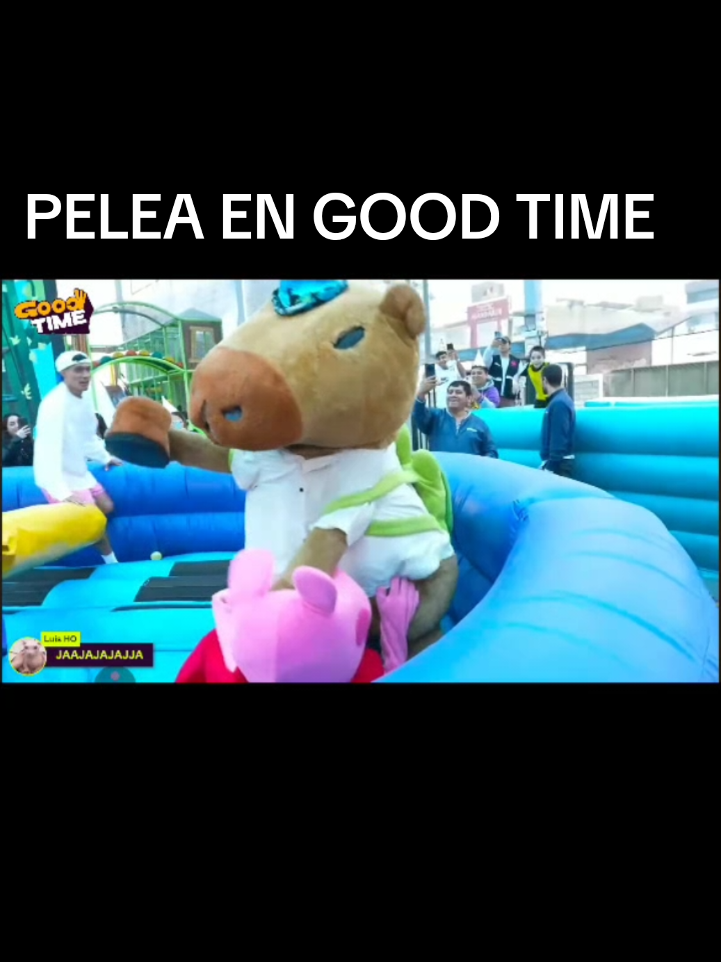 CAPIBARA VS PEPA 🐹👊🍫 #goodtime #fypシ゚ #pelea #boxeo #peluche 