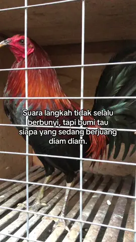 From kingblack #fyppppppppppppppppppppppp 