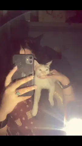My Oggy😭✨ #cat #mirorvideo #astheticvideos #catlover #oggy 