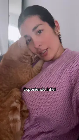 #exponiendoinfieles #gatito #gato #elgatodelvecino 