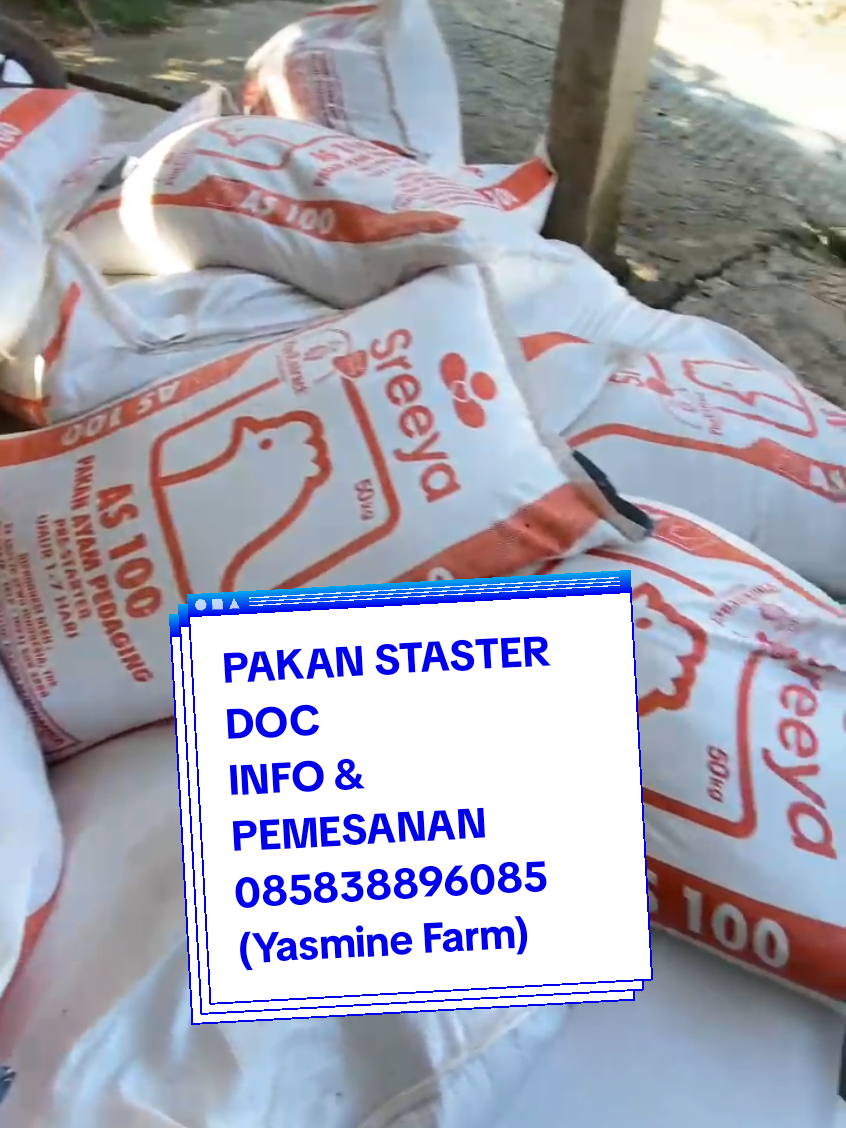 PAKAN STASTER DOC ANAK AYAM 