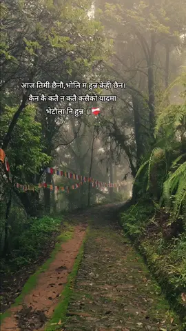 #tiktoknepal #fyp #travel #maipokhari #nature 
