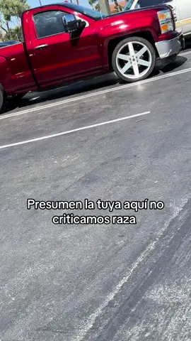 #805 #tiktok #viral #trocastumbadas #trocasperronas 
