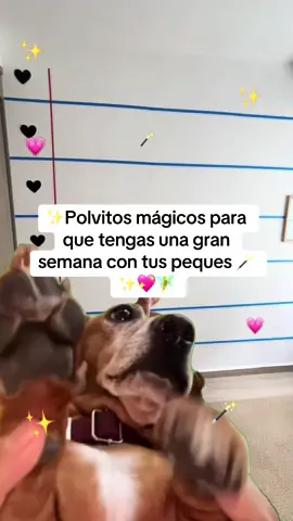 Que tengan una semana llena de momentos llenos de aprendizaje con sus peques💖🥰✨ espero que todas sus clases fluyan y todos disfruten de las clases 🩷🎉 #parati #maestra #teacher #vidademaestra #teacherlife 