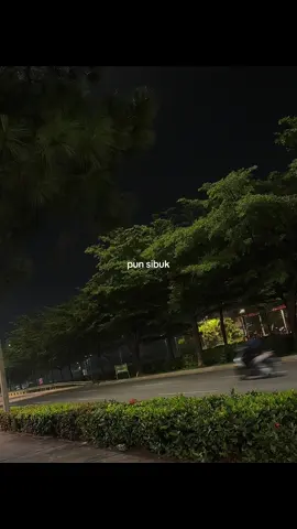 sibuknya ngapain
