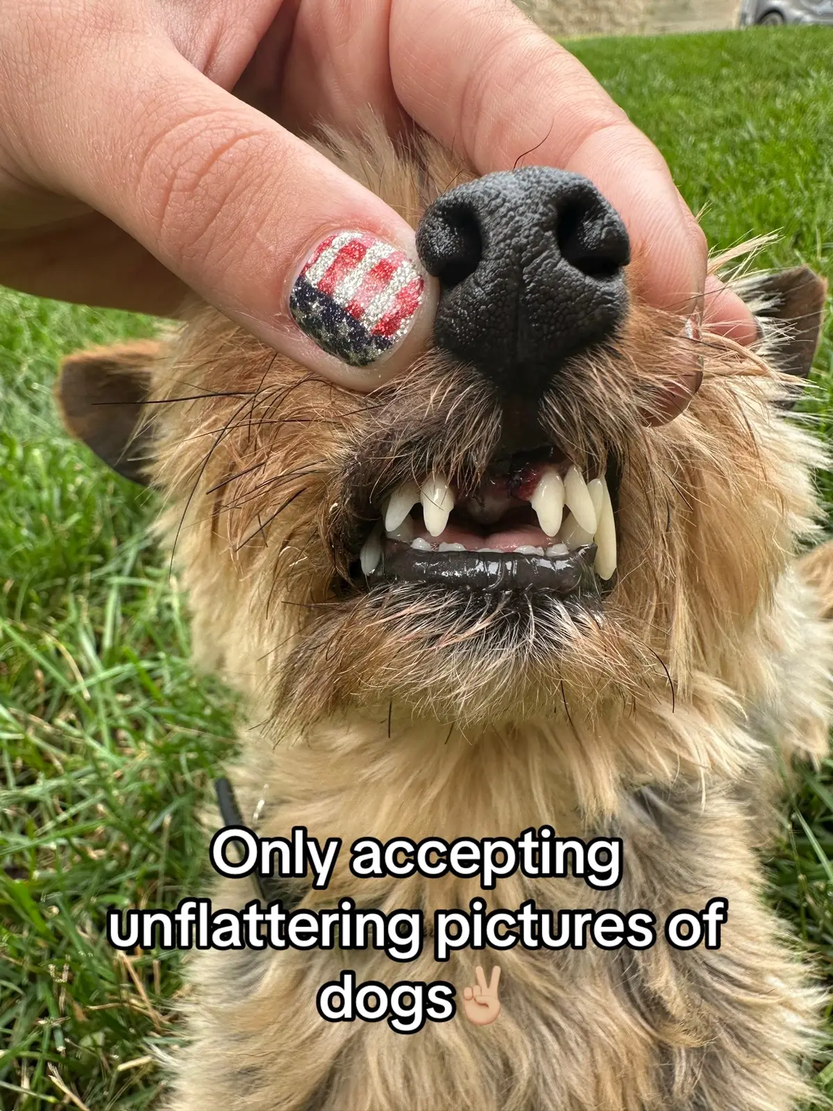 Please submit in the comments you unflattering pictures❤️ #fyp #trending #foryoupage #dogpics #showmeyours