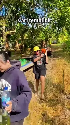 Penuh perjuanagan cari si cacing kayu ini#fypシ゚ #fyppppppppppppppppppppppp #viral #tembiluk 
