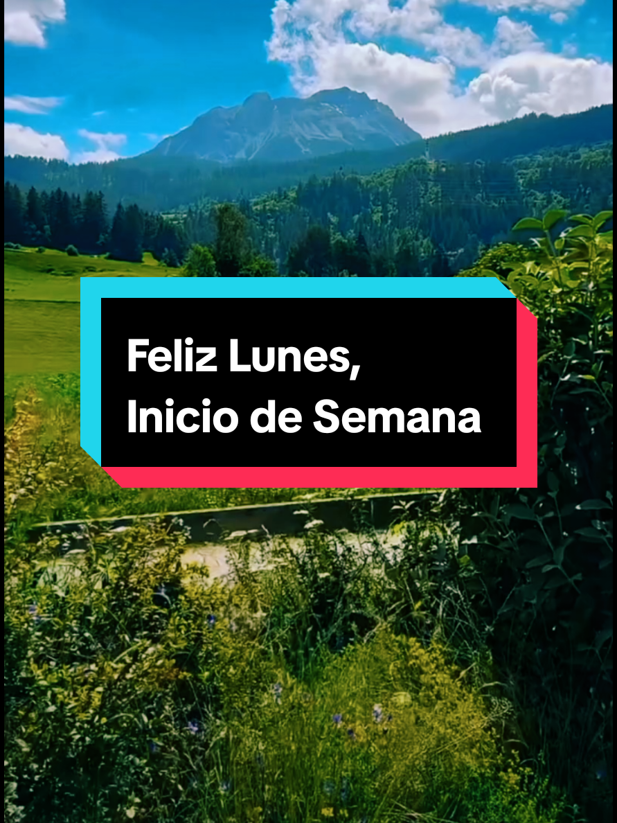 #felizlunes #lunes 