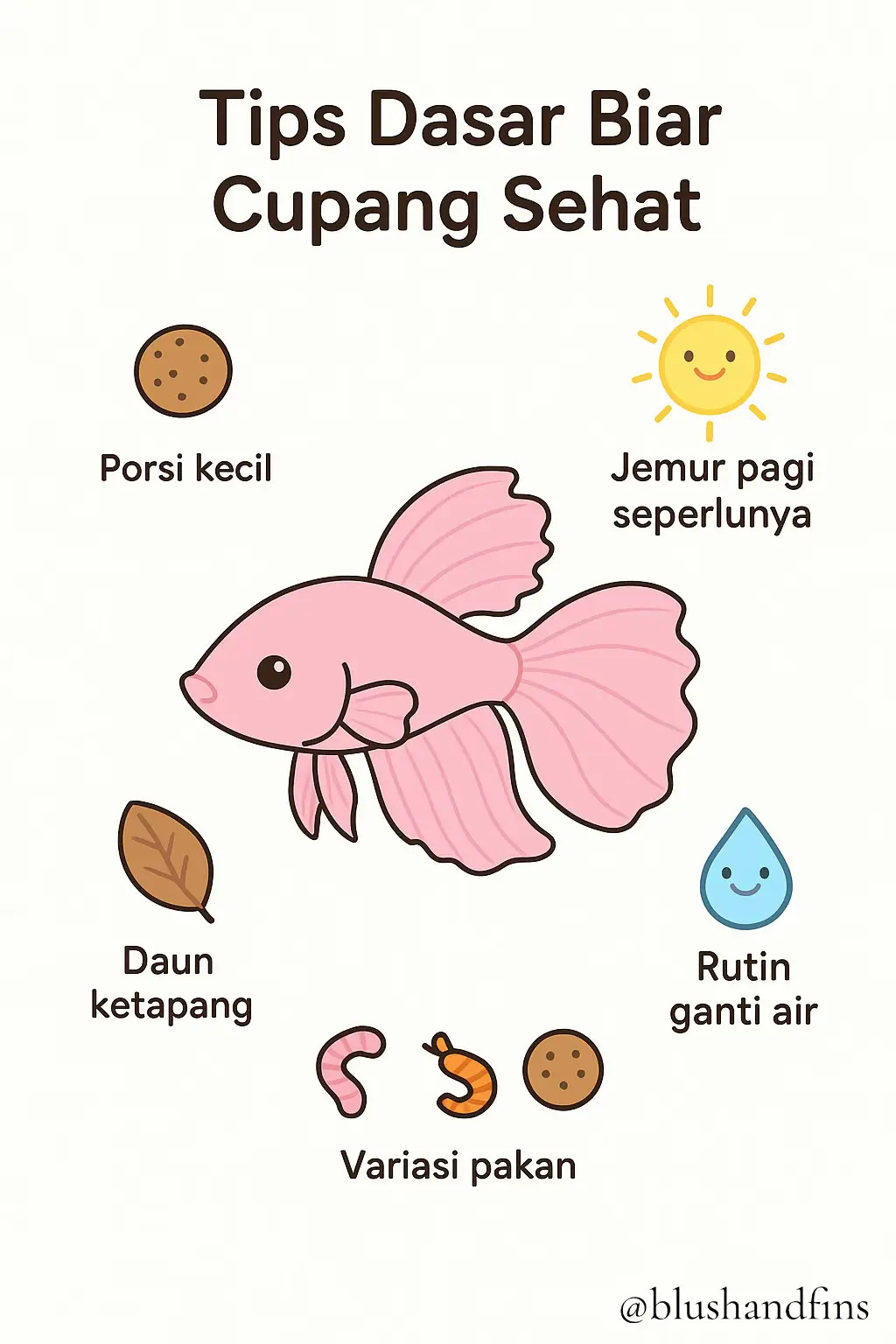 tips sederhana biar cupang kita sehat 🐟🫧🫧🫧 #cupang #betta #cupanghias #f #aquascapeindonesia 