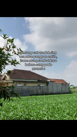 Tag bolomu seng biasane cah #jowostory #hoohtenan #fypシ 