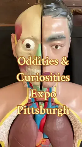 @🔮 Oddities & Curiosities Expo  #pittsburgh #travel #spookyseason #fy #fyp 