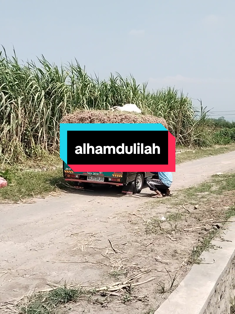 alhamdulilah untuk segala usaha yang sudah berjalan...  #SatuKontenTiapHari #ModalKontenDoang #pertanian #peternakan #affiliate 