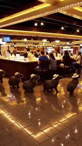 #fyppppppppppppppppppppppp #viral #capybara #foryouuu #fyp 
