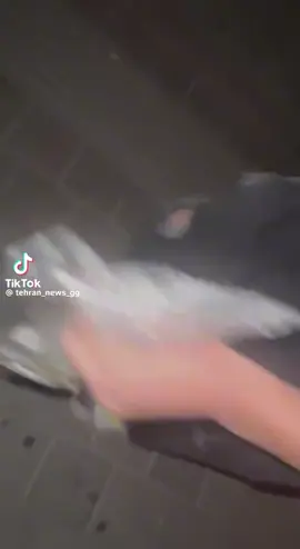 اینا از طرف رهان گفتن برن شاش رهارو بریزن رو ملیکا