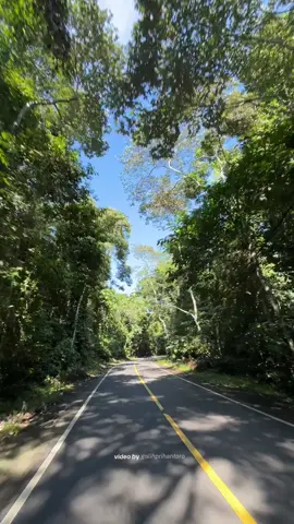 Se syahdu itu lewatin lintas TNBBS Pesisir Barat via motoran🍃 #pesisirbaratlampung #pesisirbarat #tnbbs_pesisirbarat #tnbbs #tanjakansedayu 