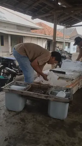 ya sedang menikmati hidup saat ini ya namanya juga orang dagang kadang rame kadang sepi jangan lupa bersyukur bersyukur dan bersyukur#pedagangmuda #sorotantiktok #sorotan #pengenfypsekalikali #lewatberandamu #jangkauanluastanpabatas #semuaorang 
