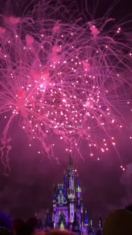 First of many posts😭 #disney #florida #orlando #disneyworld #magickingdom #magickingdompark #fireworks #foryou #fyp #viral #waltdisneyworld 
