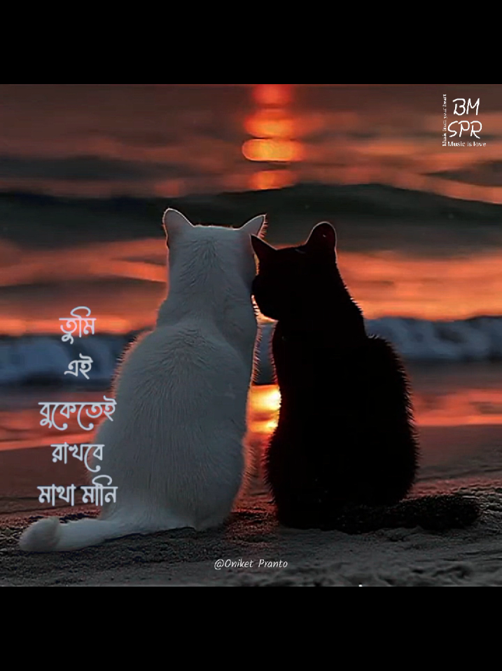 আমি এক গরীব প্রেমিক নীলা..! 🌸 #explore  #fyp  #viral  #amiekgoribpremikneela  #bandmusicspr 