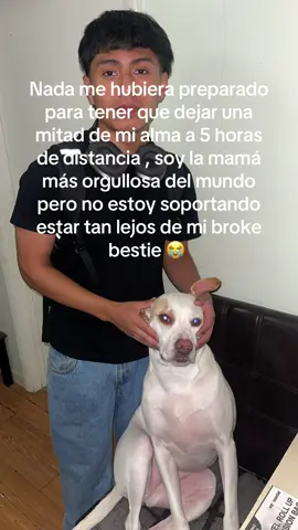 Nadie habla del orgullo de verlos llegar y pisar lugares que nosotros no pudimos pero a la ves del vacío que se siente porque ahora nos toca también empezar una vida sin ellos , que diosito me lo cuide y ilumine en cada parte del camino , Michigan please be good to my baby 🙏#goblue #umich #vamosazul #firstgen 