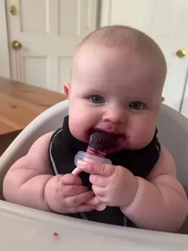 #raspberry #hazel #babytok #cute #fyp 