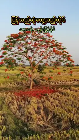 #ပြန်လည်ဆုံတွေ့သည့်တိုင်#ဘုန်းမြင့်နိုင် #မြန်မာသံစဉ်ချစ်မြတ်နိုးသူ 