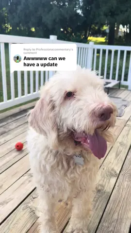 Replying to @Professionacommentary update on Abbott 🥰
