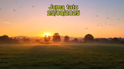 Maombi ya Asubuhi – 25/08/2025 Karibu tuombe pamoja: Baba wa rehema na neema, asubuhi hii tunainua shukrani zetu kwako kwa kutupa nafasi ya kuiona siku nyingine. Tunatambua kuwa ulinzi wako umekuwa juu yetu usiku kucha, na leo tunaamka tukiwa salama kwa sababu ya mkono wako wenye nguvu. Bwana, tunakabidhi siku hii mikononi mwako. Utupe hekima ya kufanya maamuzi sahihi, utulinde barabarani, kazini, shuleni na kwenye shughuli zetu zote. Tunakata na kuvunja kila mipango ya adui juu ya maisha yetu na familia zetu. Tubariki na afya njema, amani ya rohoni, na baraka za mkate wa kila siku. Tunakiri kuwa leo hakutakuwa na kufeli, hakutakuwa na fedheha, bali tutatembea katika ushindi wako. Katika jina la Yesu Kristo tunaomba na kushukuru, Amina.
