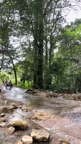 #timorleste🇹🇱🐊 Same Mirbuti o ba mk o fila lalori saudade ne o bsok🫵🏻🥶🤍