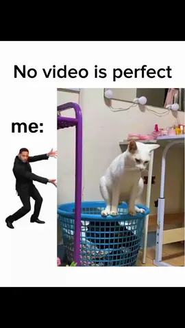 #funnytiktok #memestiktok 