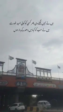 میں نے نہیں لگنے دی پھر کسی کو کوئی امید خود سے میں نے سب کو کہا میں دھوکے باز ہوں#viral 