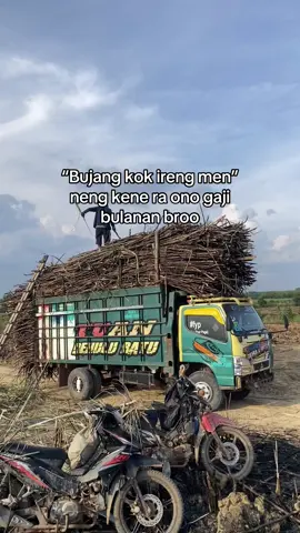 Black mamba yo eben🤣#fyp #tuandehuluratugroup #ptpsmiwaykananlampung 