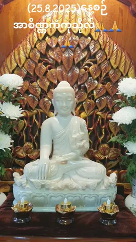 #မြတ်စွာဘုရားရှင်အားရှိခိုးပါ #နေ့ဆွမ်းကပ်ကုသိုလ်လေးပါ🙏🙏🙏 #နေ့စဉ်ကုသိုလ်အမြဲပြုပါ🙏🌸🙏 #သာဓုသာဓုသာဓု🙏🙏🙏 #ကုသိုလ်တွေထပ်တူရပါစေ 