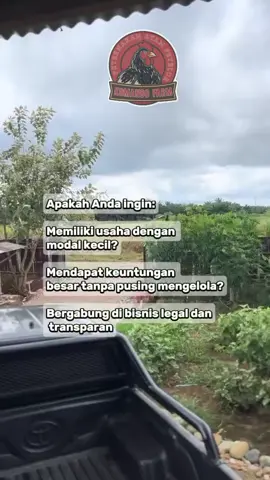 komando farm membuka peluang bisnis titip ternak ayam petelur🐔#foryou #fypage #ternakayam #ternakayampetelur #fypシ゚viral 