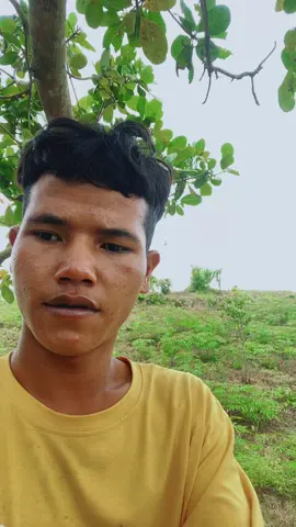 Hay nhất Việt Nam#xhtiktok #xhtiktok 🤣🤣🤣