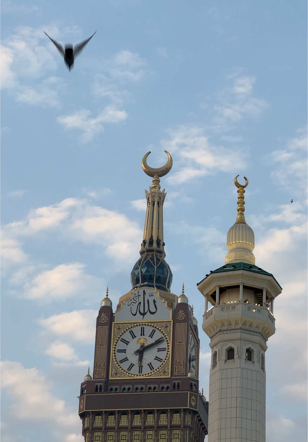 #مكه #برج_الساعة #مكه🕋 #الحرم  @مکّہ المکرمہ  @مکّہ المکرمہ ينظر إلى الحمام على أنه رمز لسلامة الحرم وقدسيته، مع وضع خاص يمنحه الإسلام. The pigeons are seen as a symbol of the sanctuary's safety and sanctity, with a special status granted by Islam.