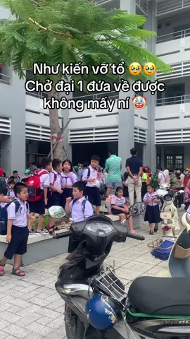 Toang….🤡🤡🤡💔💔💔#xh #namhocmoi #tuutruong 