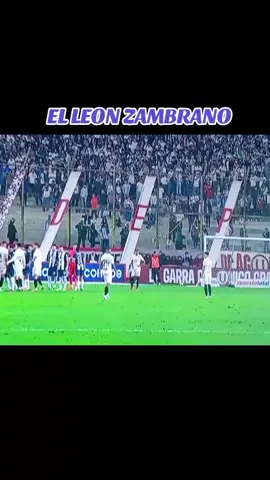 NO HAY RESPETO POR LOS MAS COPEROS#flyp #ALIANZA LIMA#